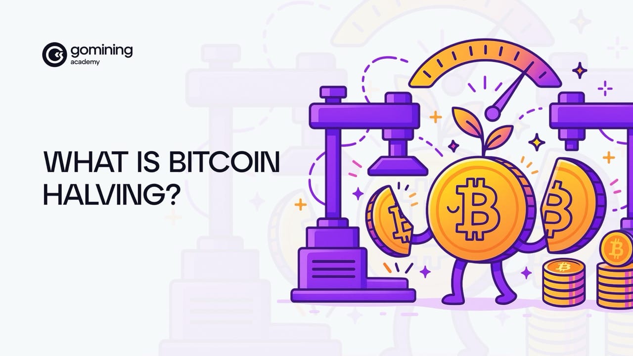 What is Bitcoin Halving? poster