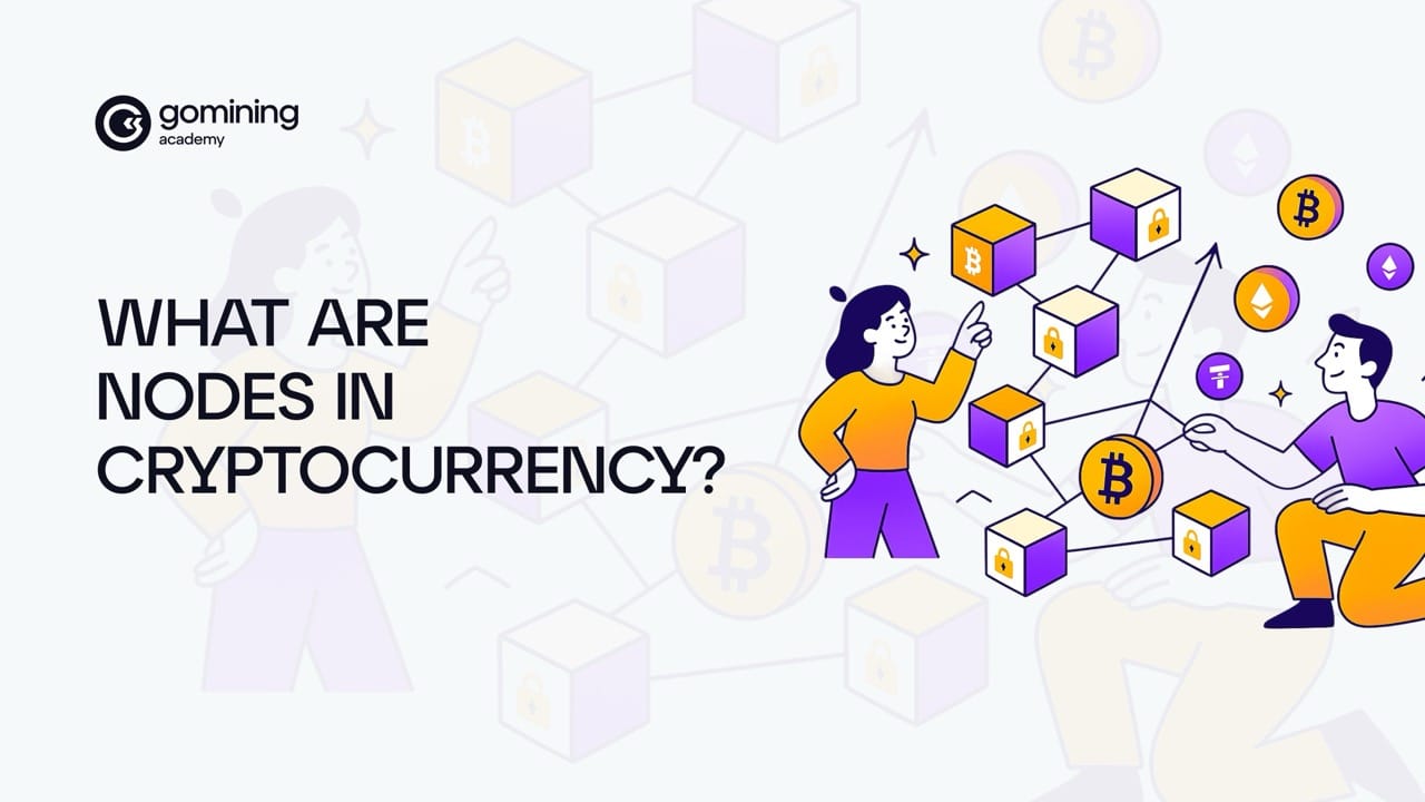 What are nodes in cryptocurrency? poster