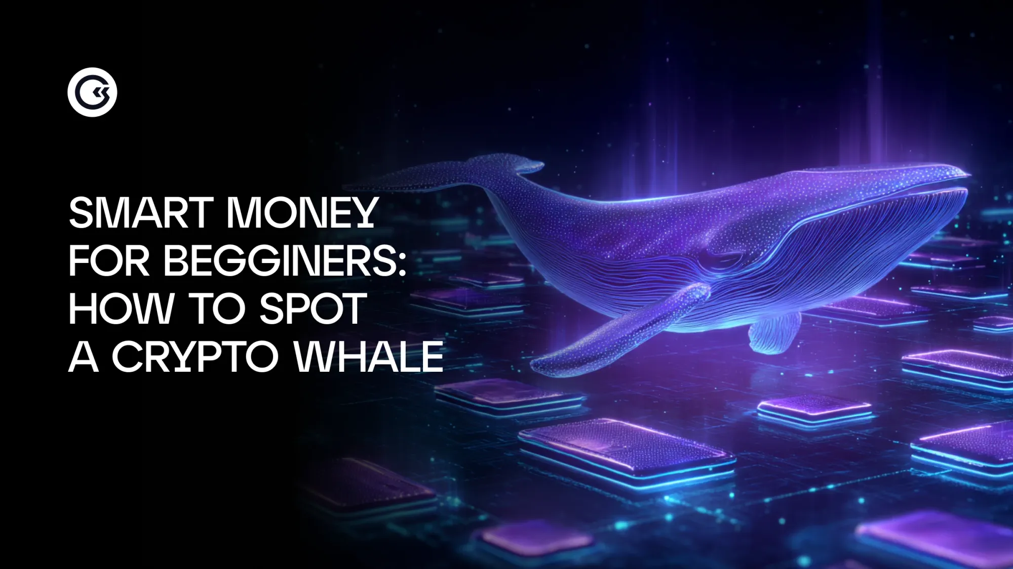 Chi sono le balene delle criptovalute e come riconoscerle