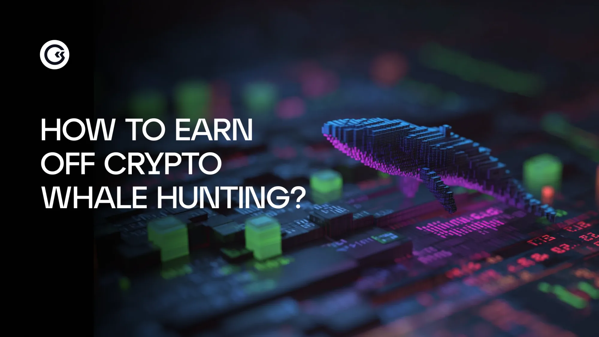 How to Earn off Crypto Whale Hunting