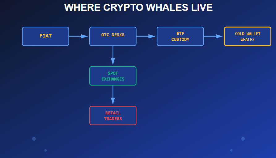 where crypto whales live