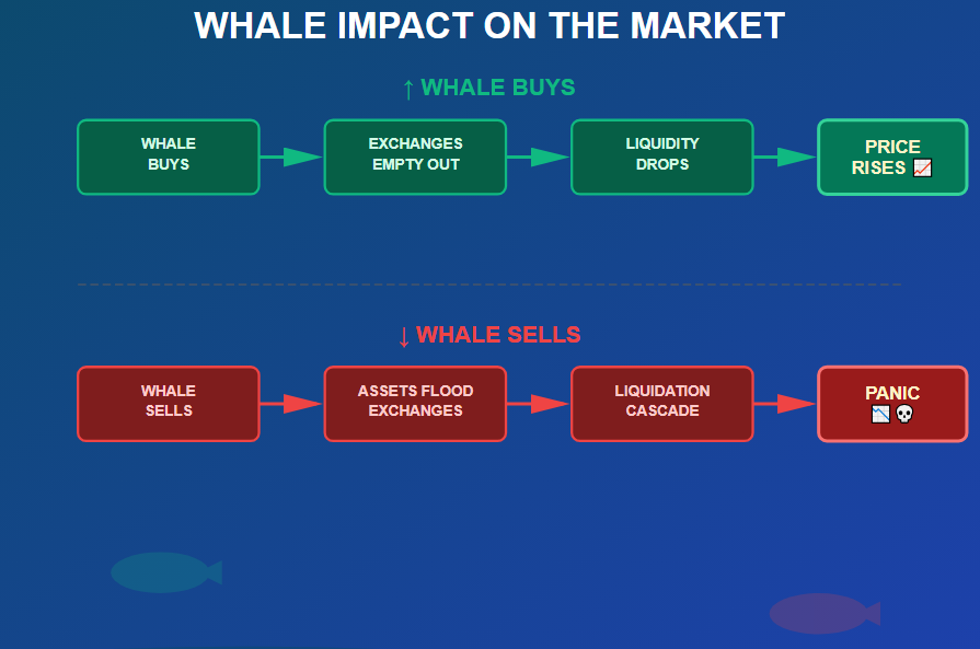 crypto whale impact