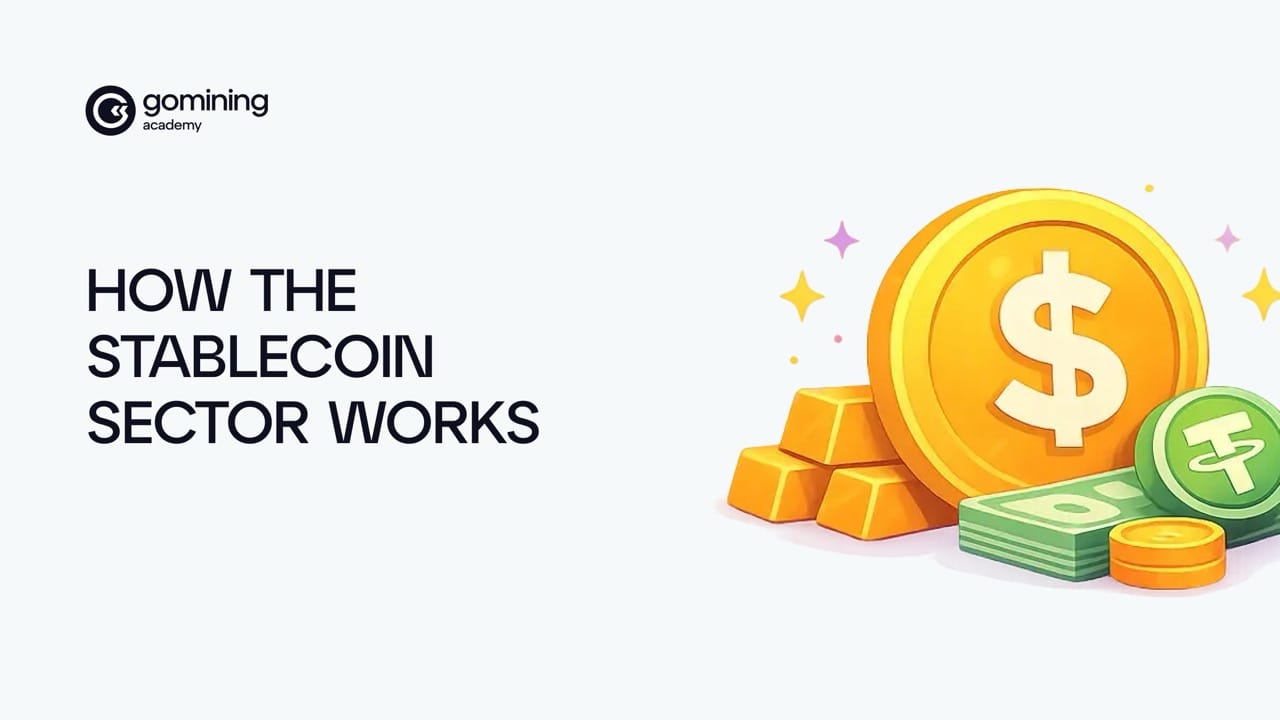 How the Stablecoin Sector Works poster